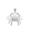 zs404.png