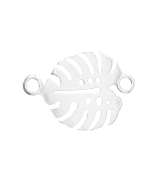 PLWG413-lisc-Monstera.png